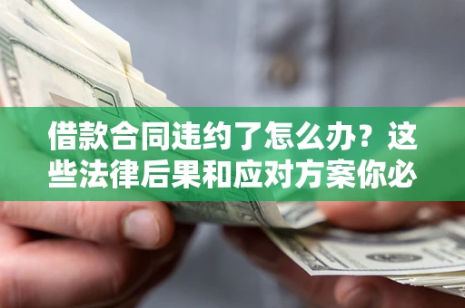 武汉借款合同违约了怎么办？这些法律后果和应对方案你必须知道