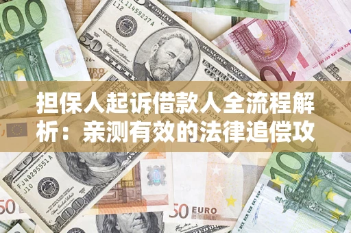 武汉担保人起诉借款人全流程解析：亲测有效的法律追偿攻略