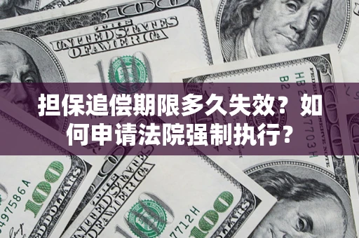 武汉担保追偿期限多久失效？如何申请法院强制执行？