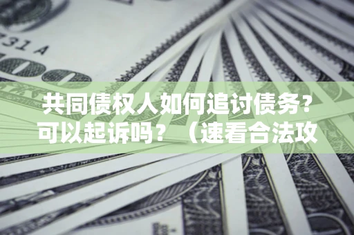 武汉共同债权人如何追讨债务？可以起诉吗？（速看合法攻略）