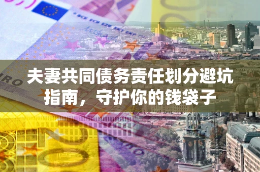 武汉夫妻共同债务责任划分避坑指南，守护你的钱袋子