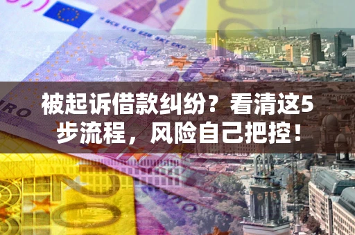 武汉被起诉借款纠纷？看清这5步流程，风险自己把控！